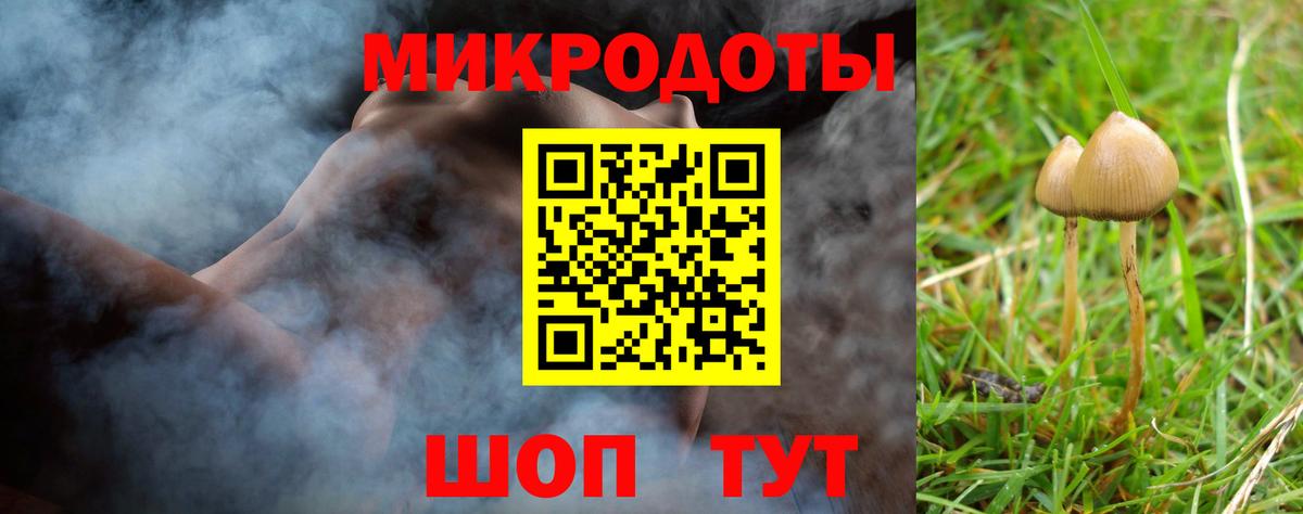 Псилоцибиновые грибы прущие грибы  Вход с VPN  Псилоцибиновые грибы Cubensis  Южно-Сахалинск 